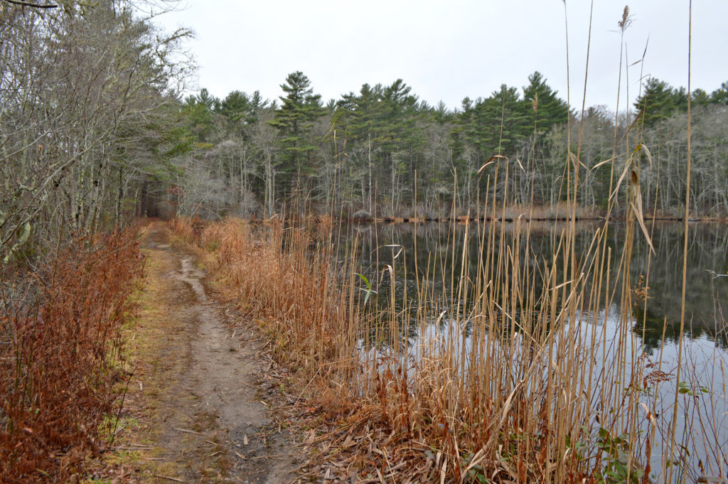 Washburn Park – Marion – Walk – October 7, 2022
